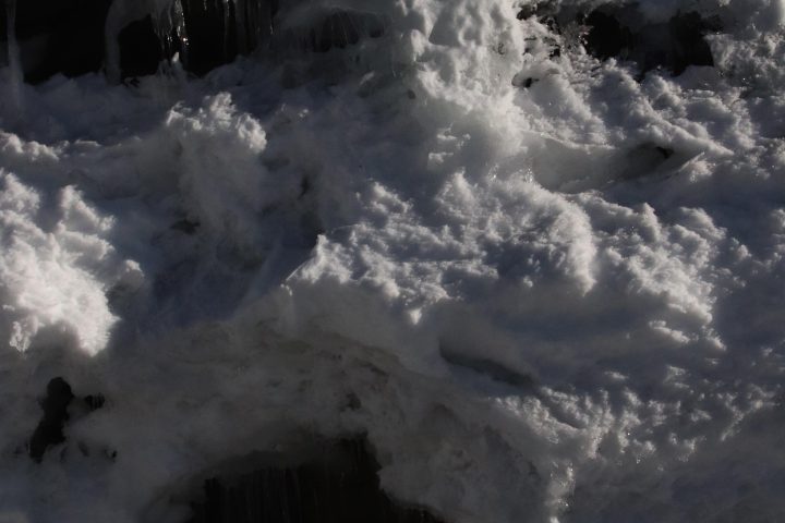 Bestiari immaginati 2