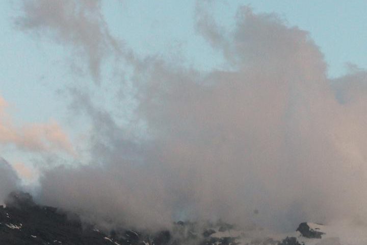 12478773795a7e31af20a0b5.37377510