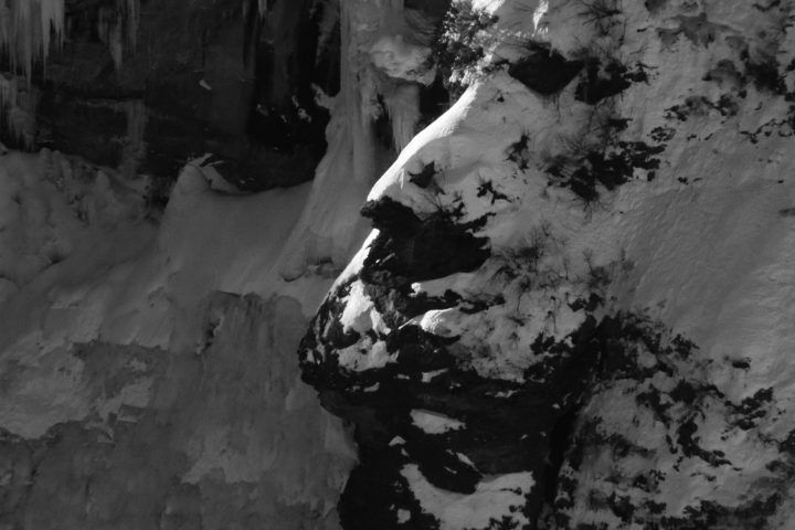 Bestiari immaginati 3