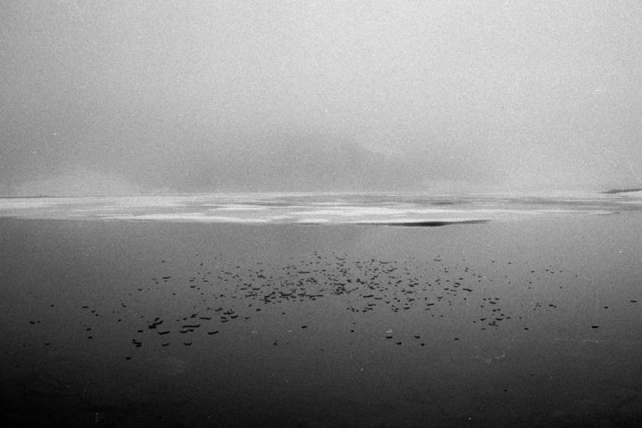 18861247745a7e31aedf02f2.36552420