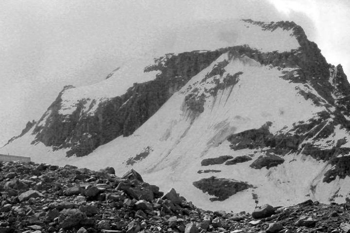 19068895805a7e2cead808b7.99762735