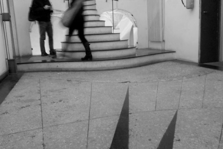 Bestiari immaginati 4