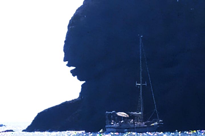 Bestiari immaginati 5