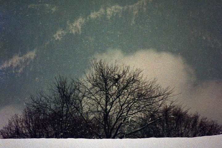 3337519985a7e2ce7c66ad0.67703752