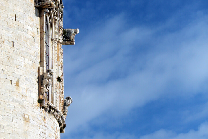 trani